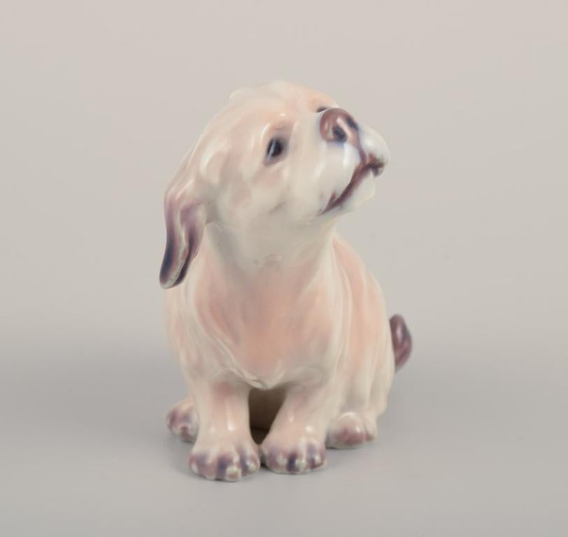Dahl Jensen. Porcelain figurine.
Dog, Maltese.
Model number 1120.
Approximately from 1930.
First factory quality.
Marked.
In perfect condition.
Dimensions: L 6.0 cm x H 6.0 cm.