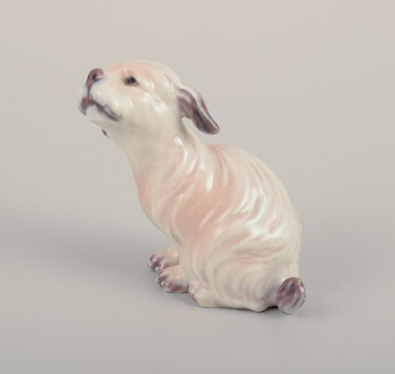 Danish Dahl Jensen. Porcelain figurine. Dog, Maltese. Approx. 1930