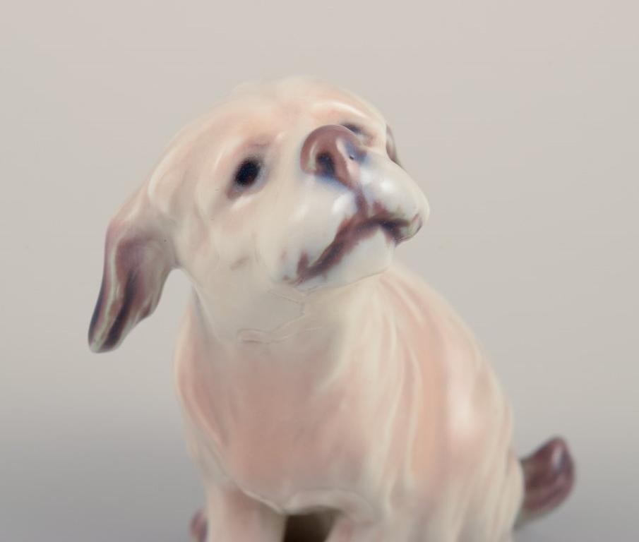 Dahl Jensen. Porcelain figurine. Dog, Maltese. Approx. 1930 In Excellent Condition In København, Copenhagen