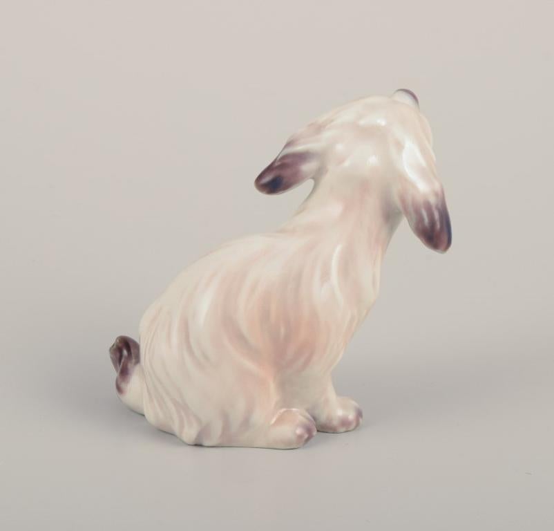 Mid-20th Century Dahl Jensen. Porcelain figurine. Dog, Maltese. Approx. 1930