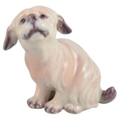 Dahl Jensen. Porcelain figurine. Dog, Maltese. Approx. 1930