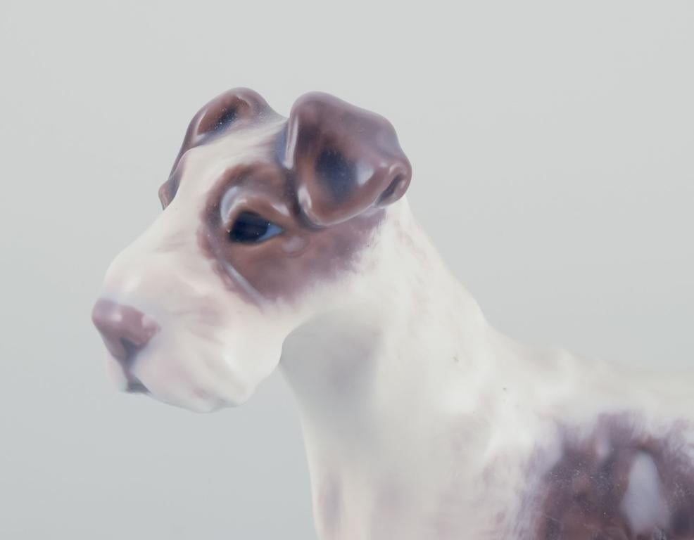 I PRODOTTI USATI SONO ESENTI DA TARIFFE DI IMPORTAZIONE PER I CLIENTI STATUNITENSI, BRITANNICI, AUSTRALIANI E CANADESI.   
PERTANTO, AL TUO ACQUISTO NON SI APPLICHERANNO TARIFFE DI IMPORTAZIONE. 

Dahl Jensen, statuetta in porcellana di un fox
