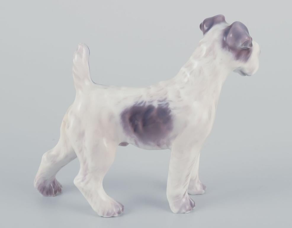 Danese Dahl Jensen, statuetta in porcellana di un fox terrier. Circa anni '30/'40. in vendita