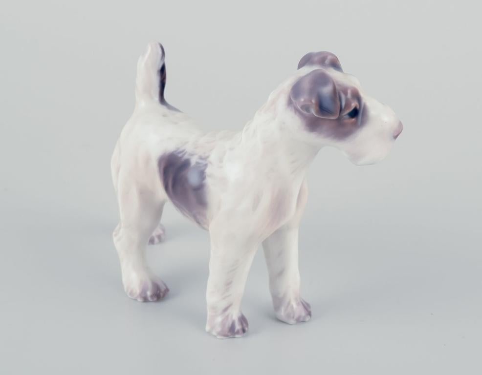 Smaltato Dahl Jensen, statuetta in porcellana di un fox terrier. Circa anni '30/'40. in vendita