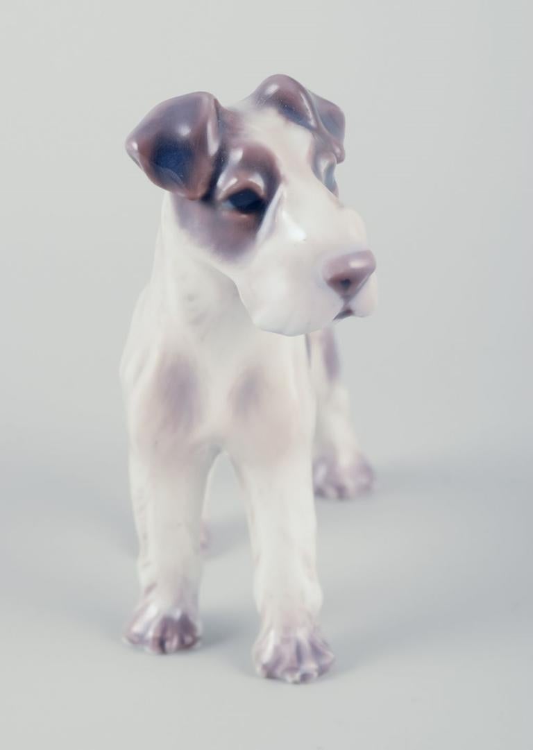Dahl Jensen, statuetta in porcellana di un fox terrier. Circa anni '30/'40. In condizioni ottime in vendita a København, Copenhagen