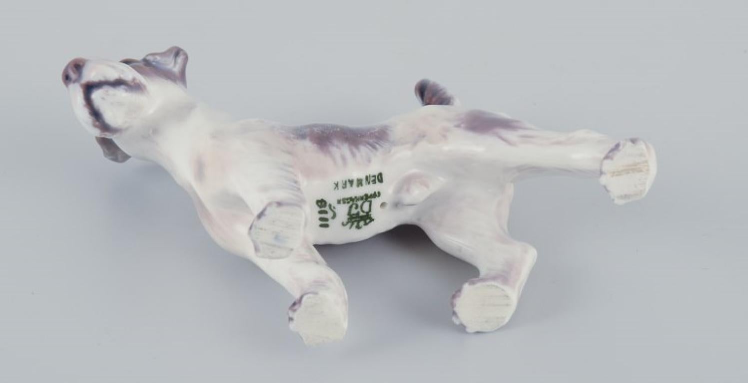 Metà XX secolo Dahl Jensen, statuetta in porcellana di un fox terrier. Circa anni '30/'40. in vendita