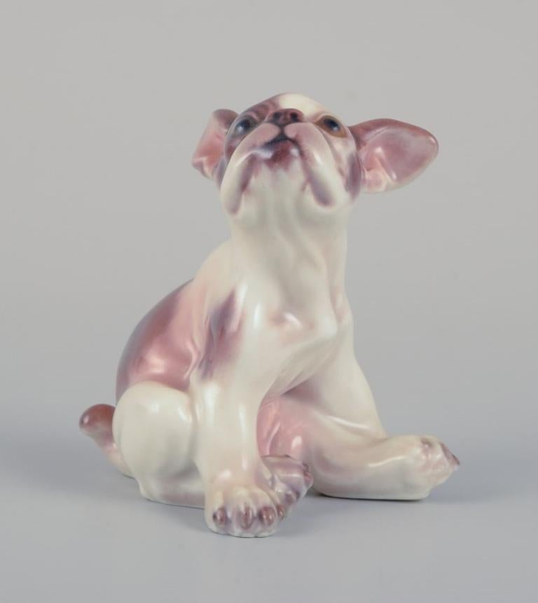 Dahl Jensen porcelain figurine of a French Bulldog.
Model: 1098.
From the 1930s.
In perfect condition.
First factory quality.
Dimensions: H 7.0 cm x W 6.0 cm.