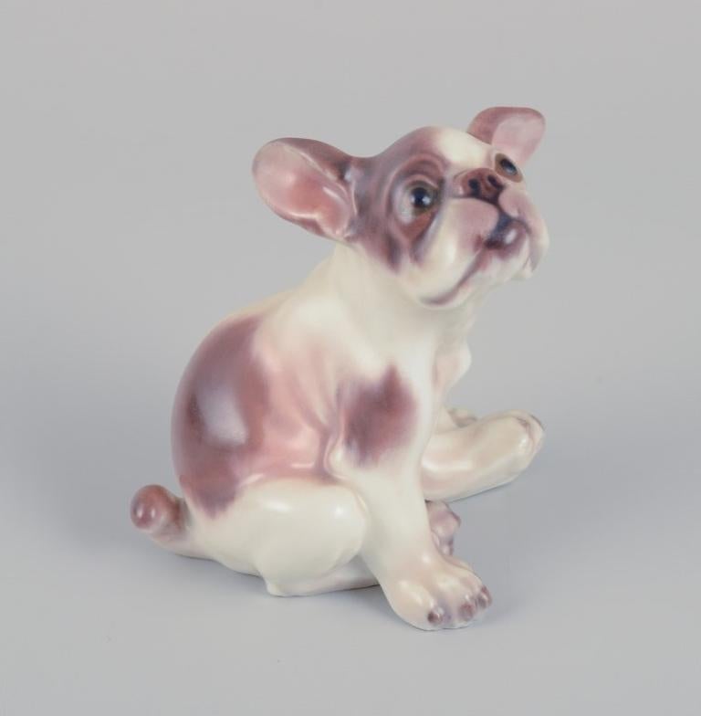 Porzellanfigur einer französischen Bulldogge von Dahl Jensen. (Dänisch) im Angebot