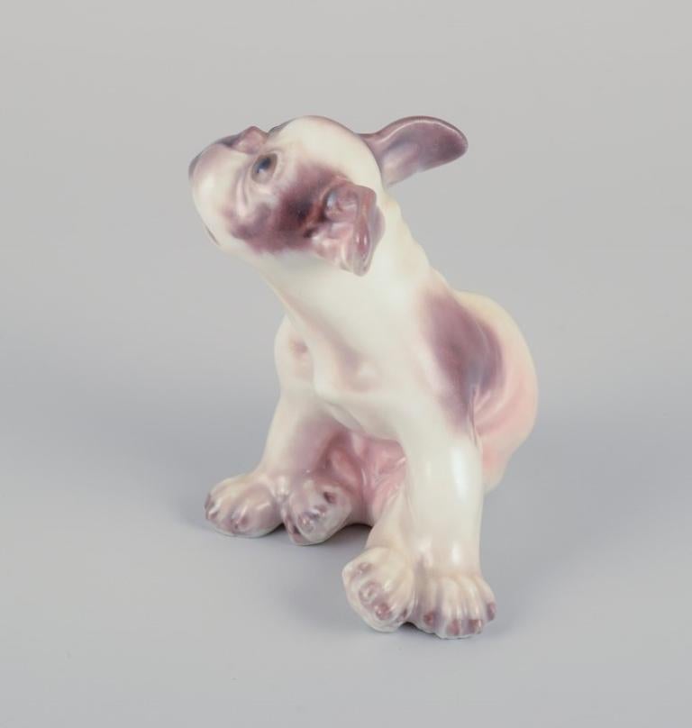Porzellanfigur einer französischen Bulldogge von Dahl Jensen. (Mitte des 20. Jahrhunderts) im Angebot
