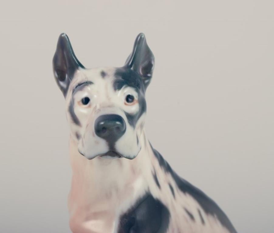 Vernissé Jensen, figurine en porcelaine représentant un dogue allemand. Environ 1930 en vente