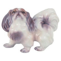 Dahl Jensen, porcelain figurine of a Pekingese dog. 1930/40s