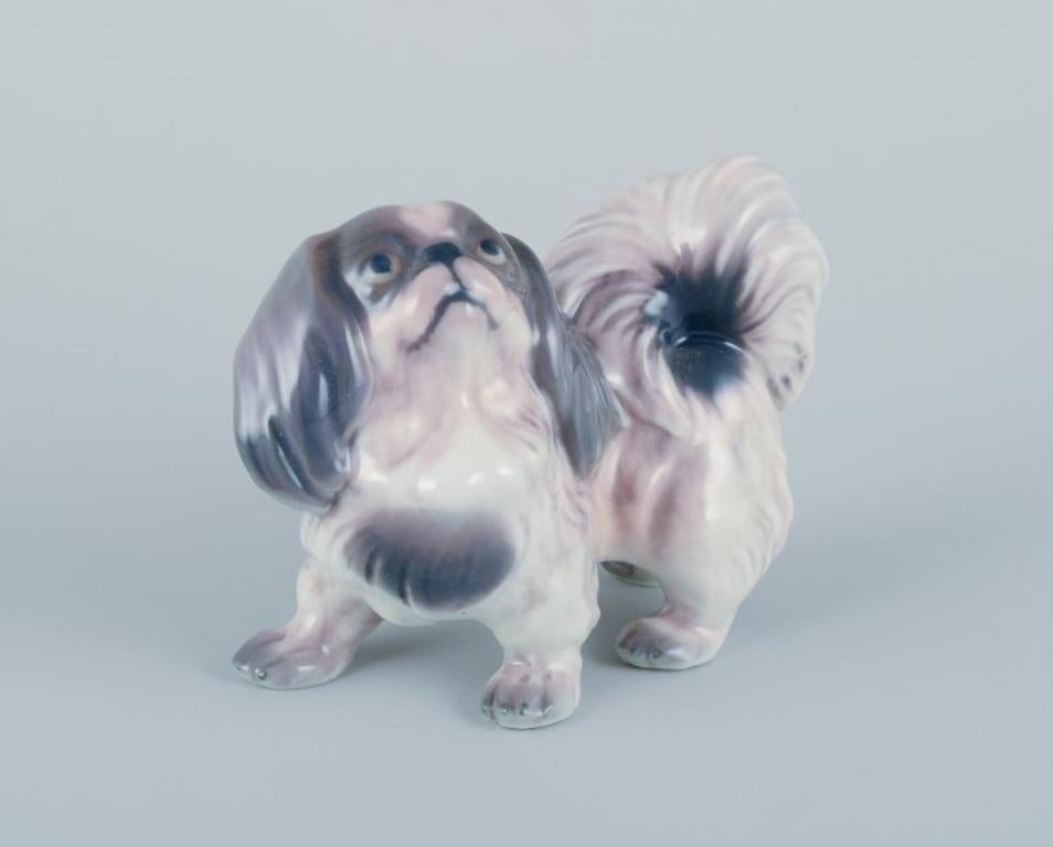 Dahl Jensen, porcelain figurine of a Pekingese.
Model number 1146.
Designed by Jens Peter Dahl Jensen (1874-1960).
Approximately from the 1930s.
First factory quality.
Perfect condition.
Marked.
Dimensions: Height 7.0 cm x Length 9.0 cm.