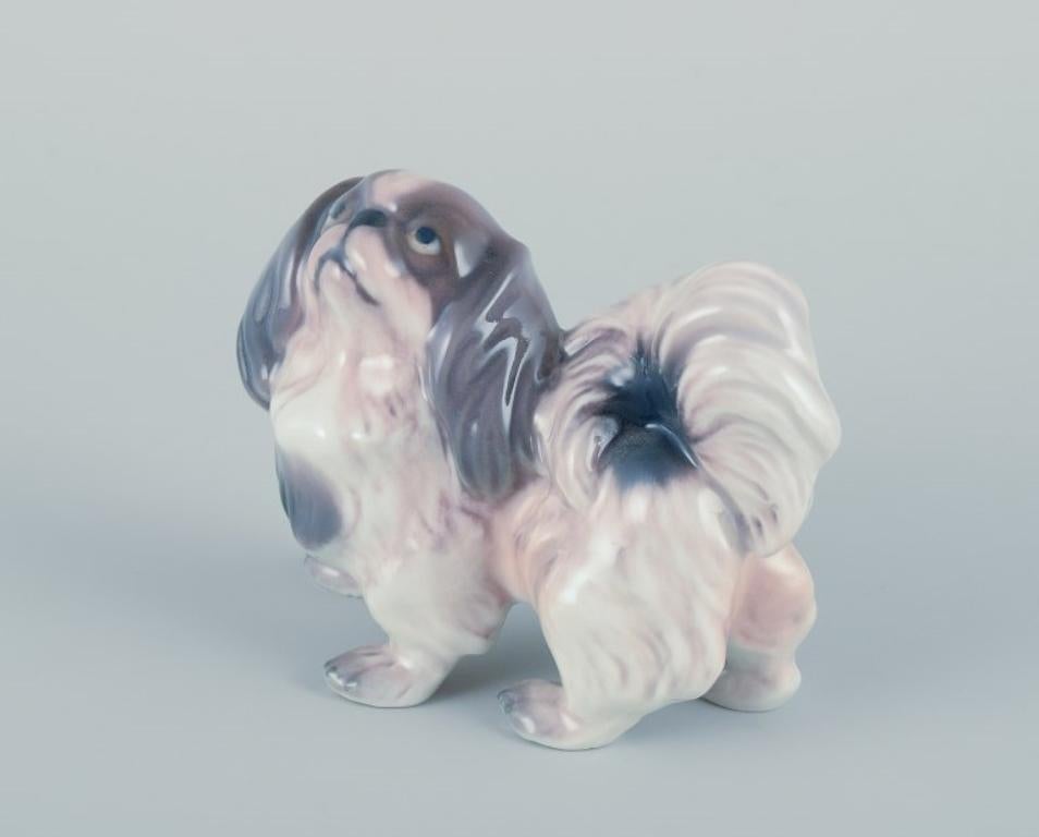 Danish Dahl Jensen, porcelain figurine of a Pekingese.  For Sale