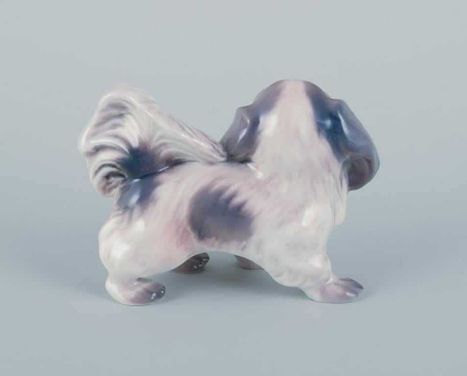 Glazed Dahl Jensen, porcelain figurine of a Pekingese.  For Sale