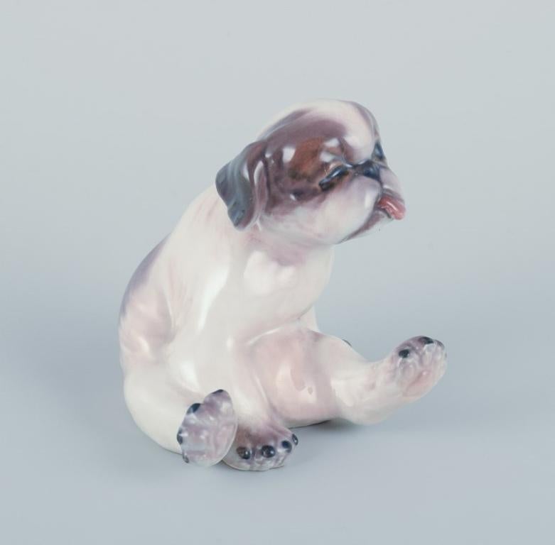 Dahl Jensen, porcelain figurine of a Pekingese puppy.
Designed by Jens Peter Dahl Jensen (1874-1960).
Model number 1134.
Approximately from the 1930s.
First factory quality.
Perfect condition.
Marked.
Dimensions: Height 7.5 cm x Length 8.5 cm.