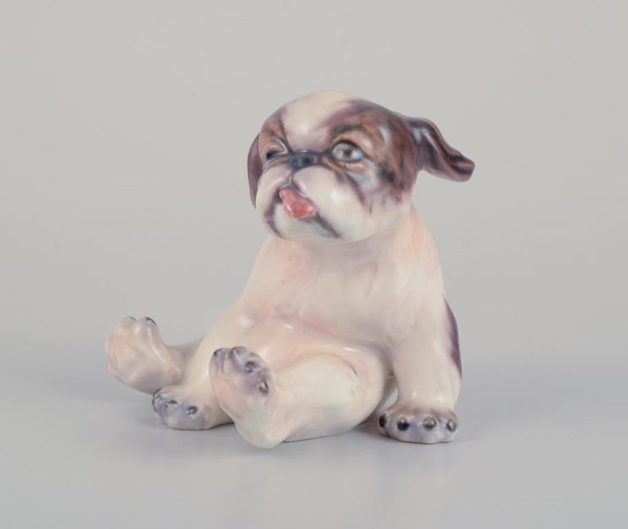 Dahl Jensen porcelain figurine of a Pekingese puppy.
Model: 1134.
From the 1930s.
In perfect condition.
First factory quality.
Dimensions: W 7.0 cm x 7.5 cm.