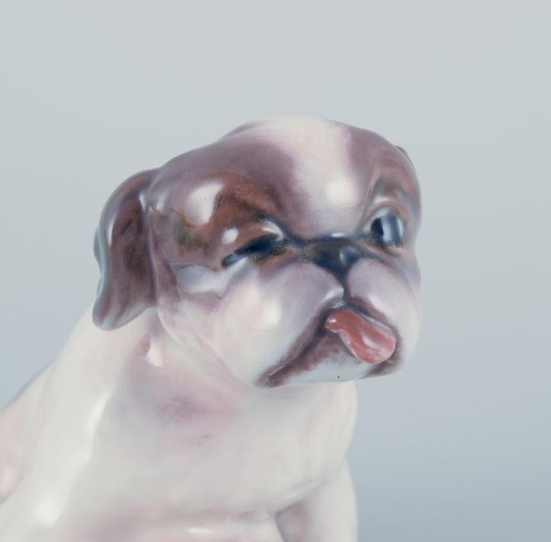 Dahl Jensen, porcelain figurine of a Pekingese puppy. In Excellent Condition For Sale In Copenhagen, DK