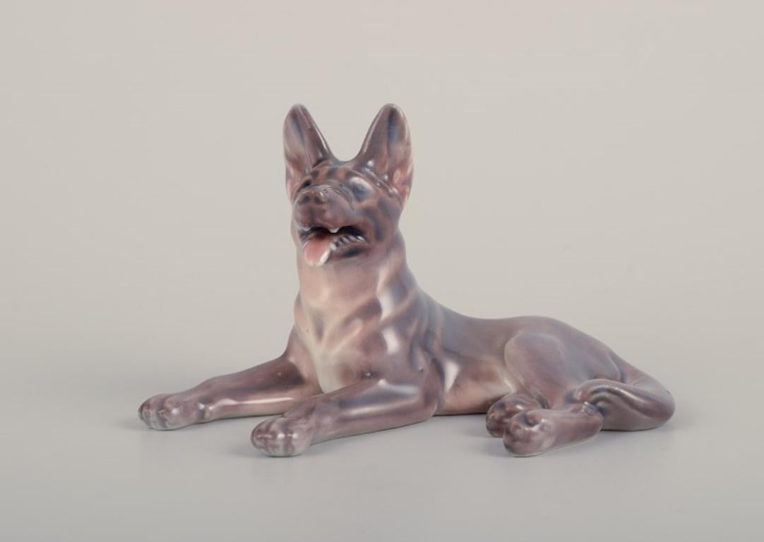 Dahl Jensen, statuetta in porcellana di un pastore tedesco reclinato.
Numero di modello 1130.
Approssimativamente dal 1930.
Contrassegnato.
Prima qualità di fabbrica.
Condizioni perfette.
Dimensioni: L 12,5 cm x H 7,3 cm.