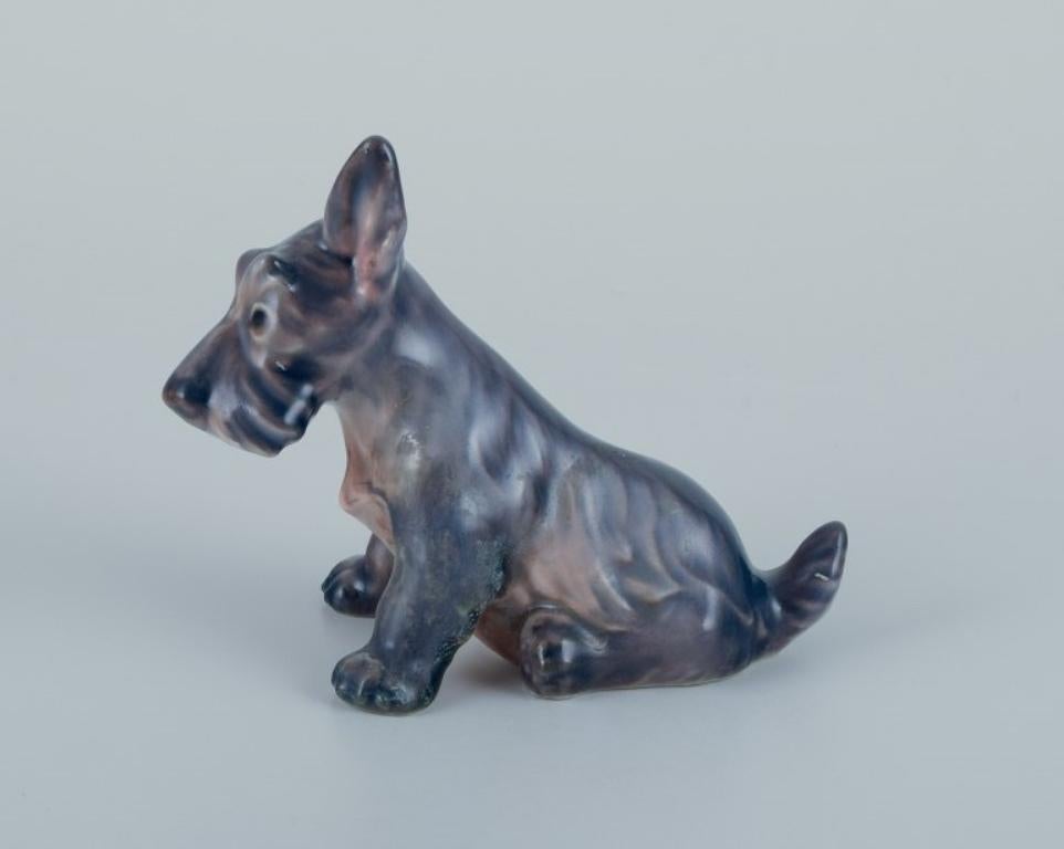 Dahl Jensen, porcelain figurine of a Scottish Terrier.
Model number 1094.
Design by Jens Peter Dahl Jensen (1874-1960).
Approximately from the 1930s.
First factory quality.
Perfect condition.
Marked.
Dimensions: Height 7.5 cm x Length 10.0 cm.