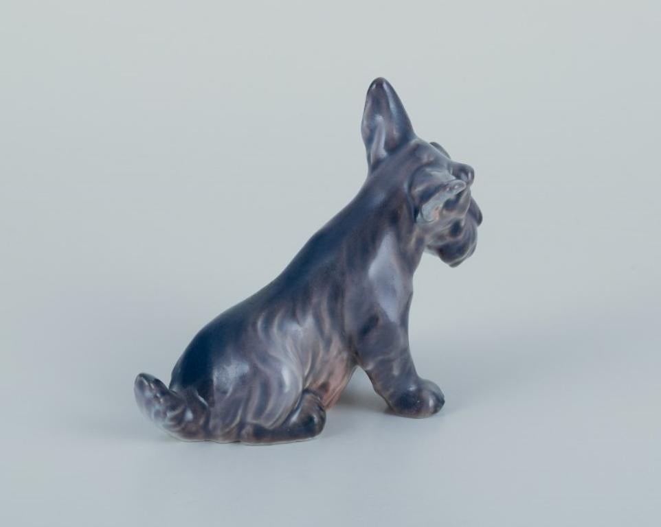 Dahl Jensen, Porzellanfigur eines schottischen Terriers. (Dänisch) im Angebot