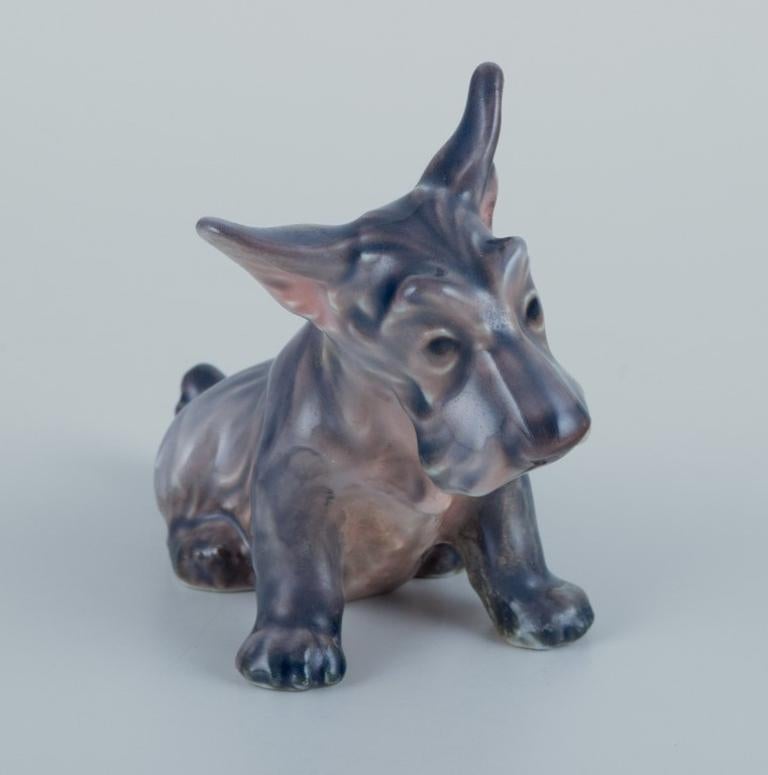 Glazed Dahl Jensen, porcelain figurine of a Scottish Terrier. For Sale