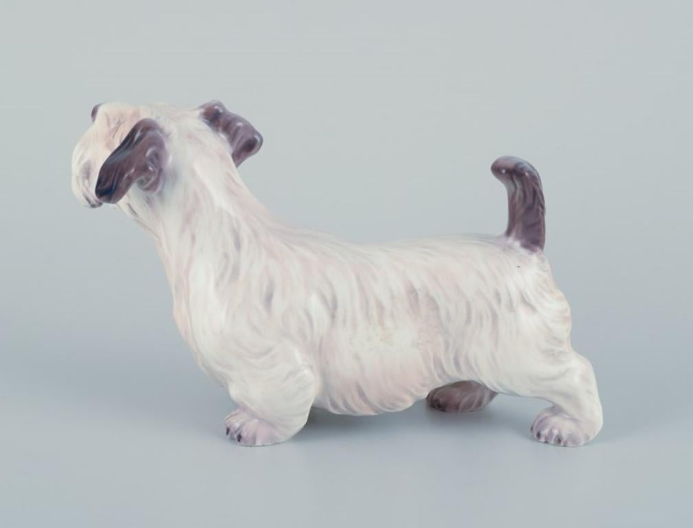 Dahl Jensen, porcelain figurine of a Sealyham Terrier.
Model number 1002.
Designed by Jens Peter Dahl Jensen (1874-1960).
Approximately from the 1930s.
First factory quality.
Perfect condition.
Marked with a royal crown and DJ