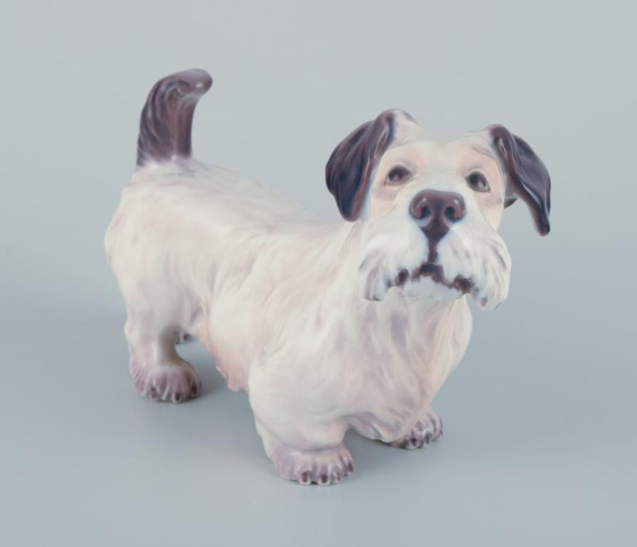 Dahl Jensen, Porzellanfigur eines Sealyham-Terriers. (Dänisch) im Angebot