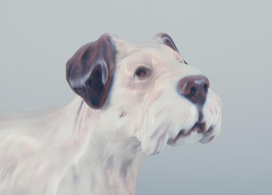 Glazed Dahl Jensen, porcelain figurine of a Sealyham Terrier. For Sale