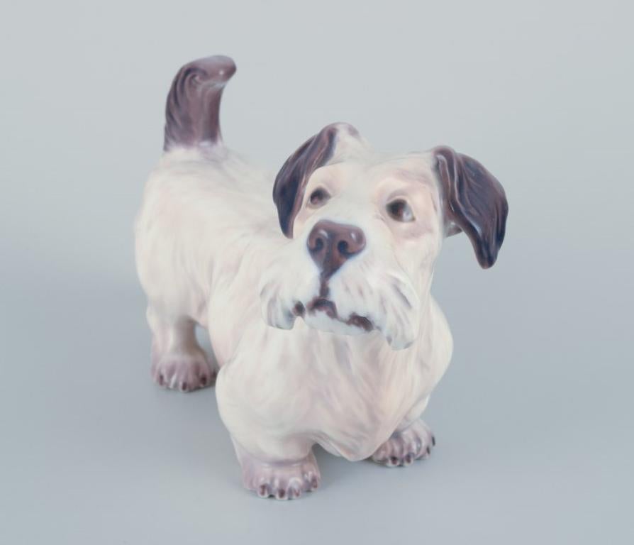 Dahl Jensen, porcelain figurine of a Sealyham Terrier. In Excellent Condition For Sale In Copenhagen, DK
