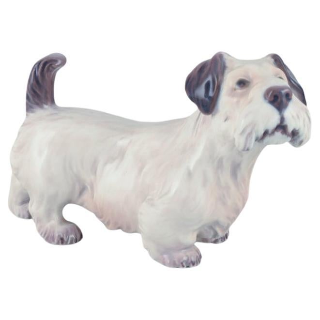 Dahl Jensen, porcelain figurine of a Sealyham Terrier. For Sale