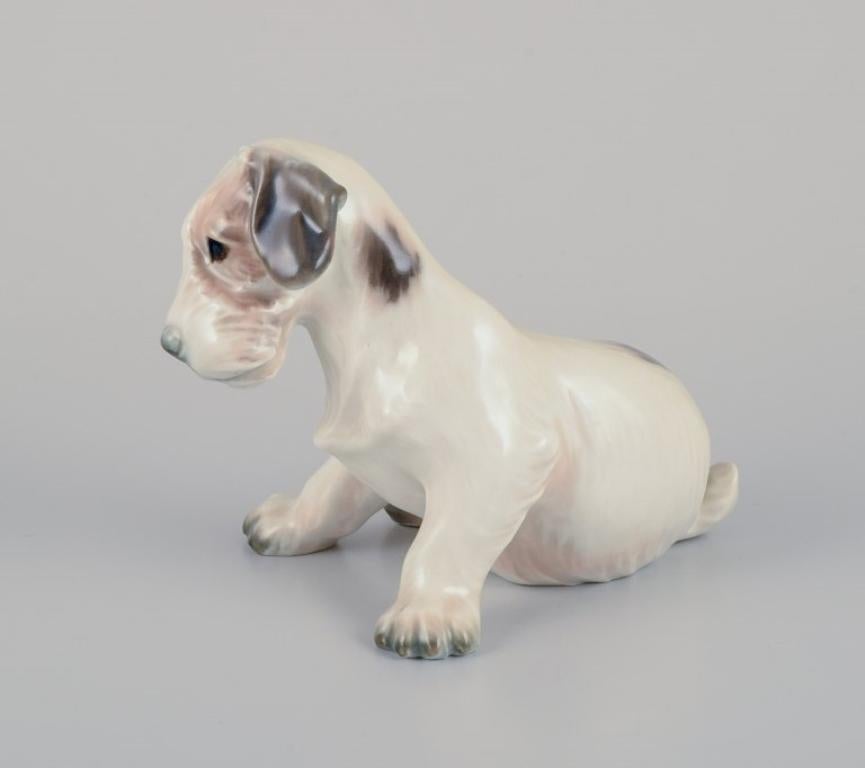 Dahl Jensen porcelain figurine of a Sealyham Terrier puppy.
Model: 1008.
From the 1930s.
In perfect condition.
First factory quality.
Dimensions: W 12.0 cm x H 9.0 cm.