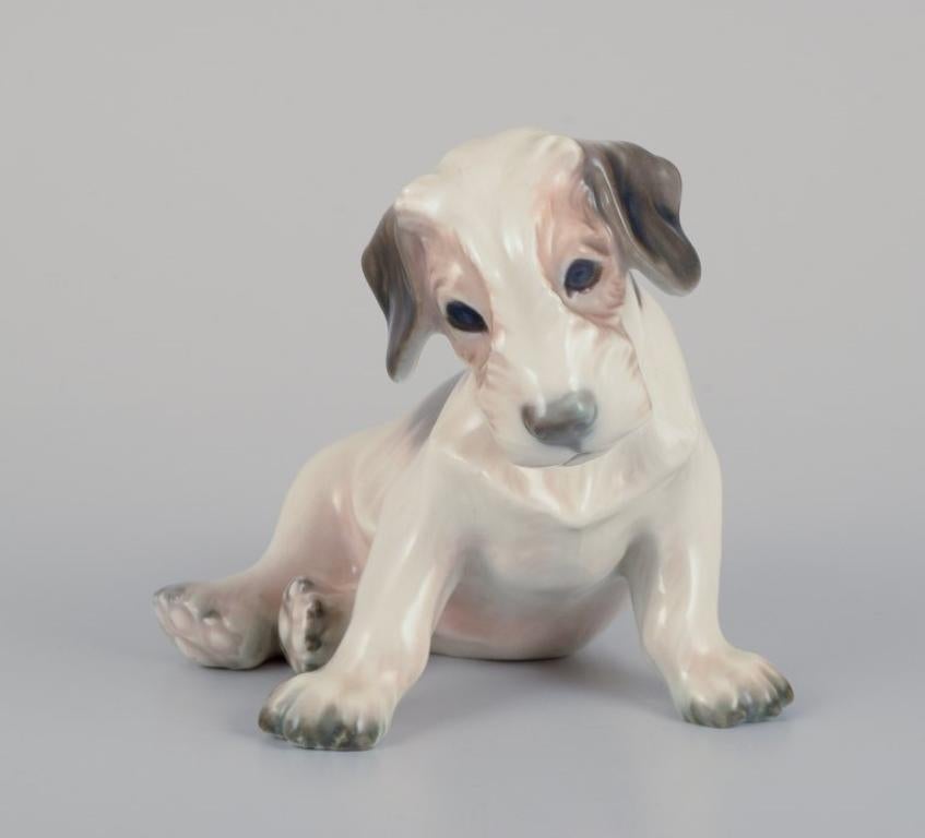 Dahl Jensen Porzellanfigur eines Sealyham-Terrier-Hundes aus Porzellan. (Dänisch) im Angebot