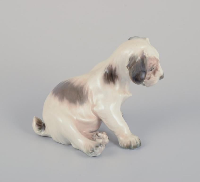 Dahl Jensen Porzellanfigur eines Sealyham-Terrier-Hundes aus Porzellan. (Mitte des 20. Jahrhunderts) im Angebot