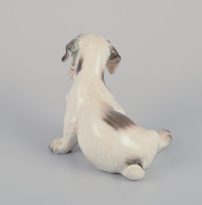 Dahl Jensen Porzellanfigur eines Sealyham-Terrier-Hundes aus Porzellan. im Angebot 1