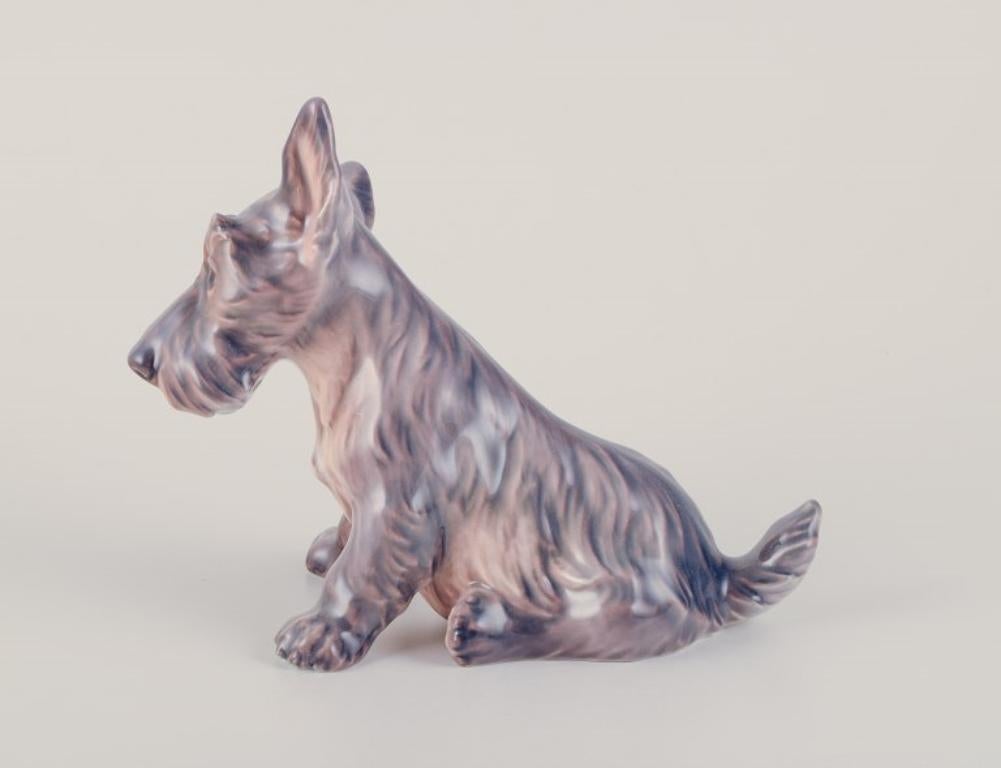 Dahl Jensen, statuetta in porcellana di un terrier scozzese seduto.
Numero di modello 1078.
Design Dahl Jensen (1874-1960).
Circa anni '30.
Primo assortimento.
Condizioni perfette.
Contrassegnato.
Dimensioni: Altezza 15,0 cm. x L 18,5 cm.


