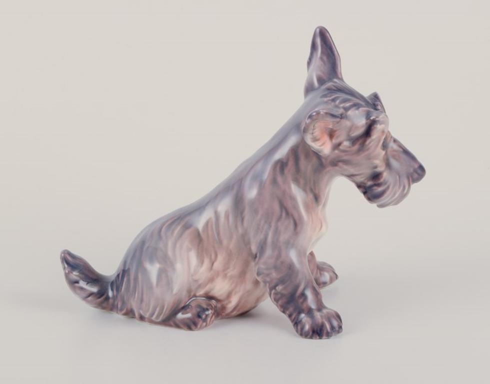 Danese Dahl Jensen, statuetta in porcellana di un terrier scozzese seduto. in vendita