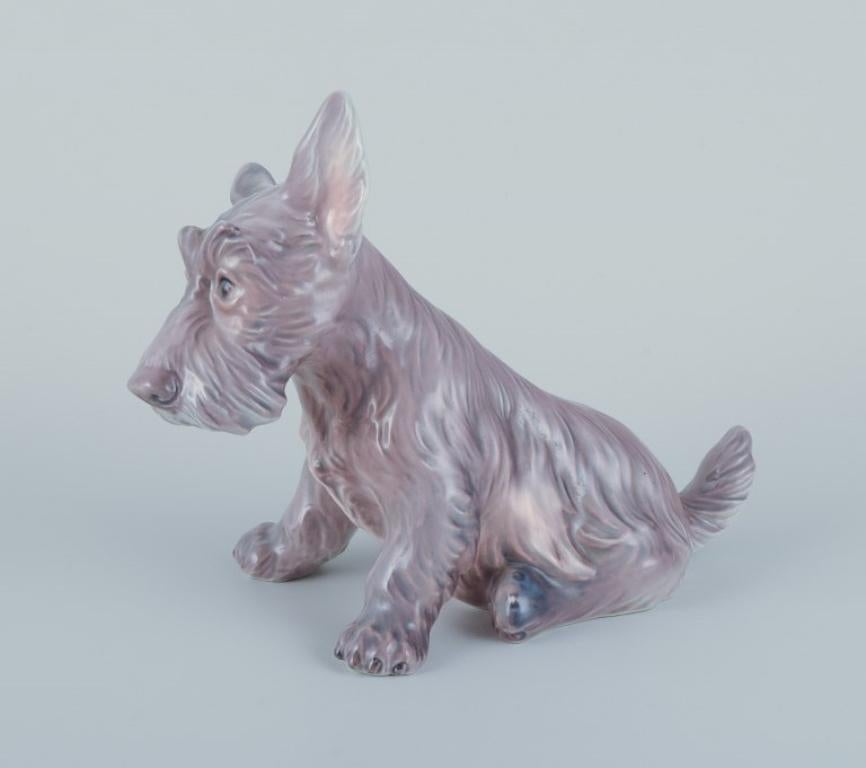 Dahl Jensen, porcelain figurine of a sitting Scottish Terrier.
Model number 1078.
Design Jens Peter Dahl Jensen (1874-1960).
Approximately from the 1930s.
Second factory quality.
Perfect condition.
Marked.
Dimensions: Height 14.5 cm x Length 20.5