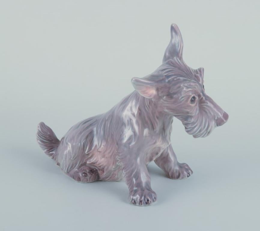 Dahl Jensen, Porzellanfigur eines sitzenden schottischen Terriers. (Dänisch) im Angebot