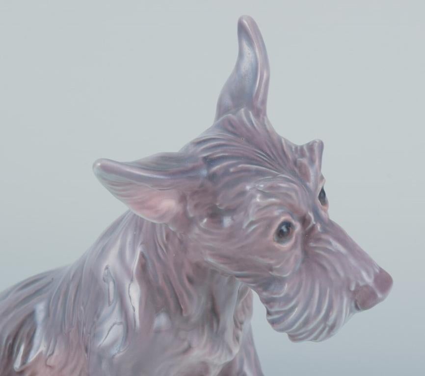 Dahl Jensen, porcelain figurine of a sitting Scottish Terrier. In Excellent Condition For Sale In Copenhagen, DK