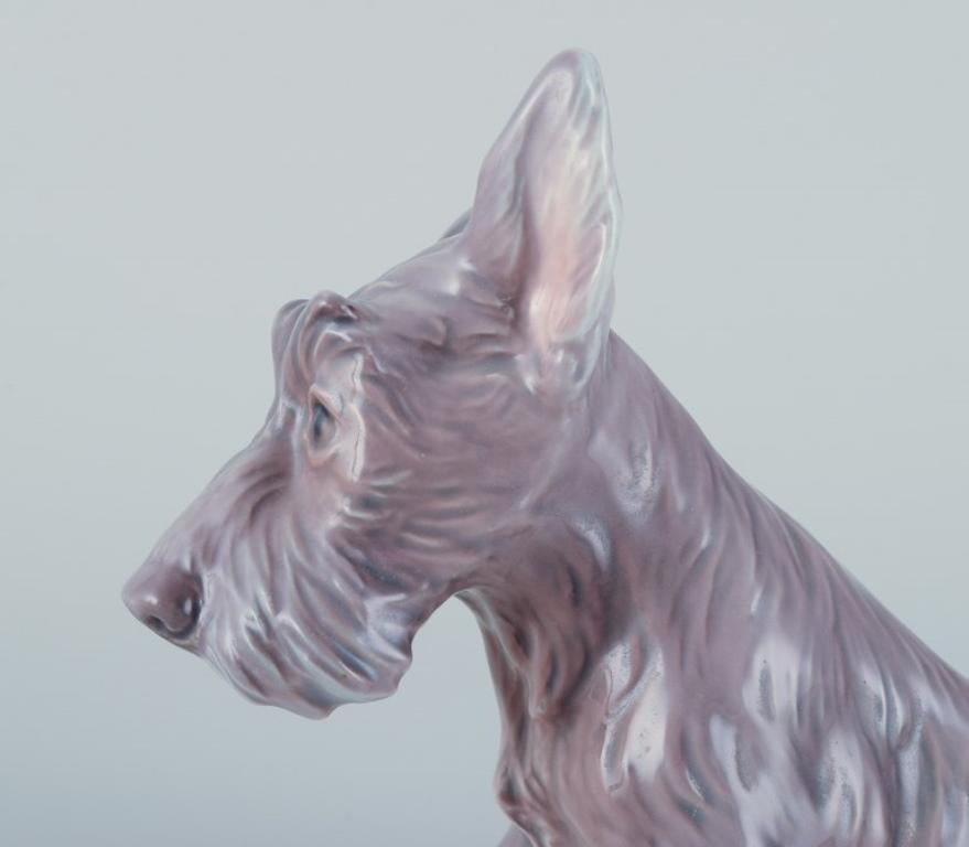 Milieu du XXe siècle Figurine en porcelaine d'un Terrier écossais assis, Dahl Jensen en vente