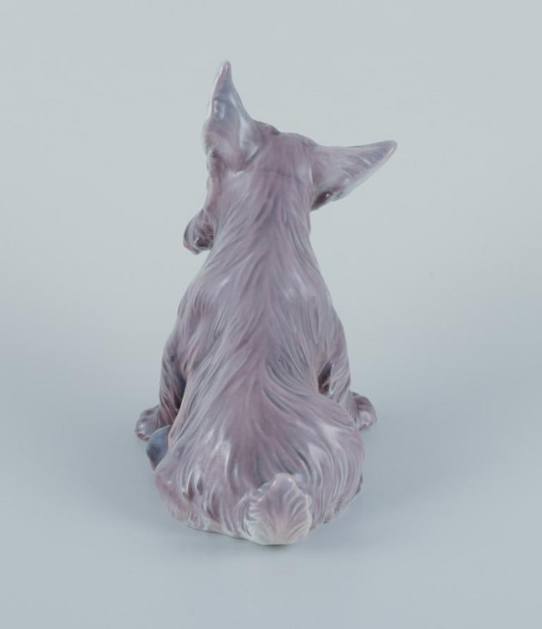 Dahl Jensen, Porzellanfigur eines sitzenden schottischen Terriers. im Angebot 1
