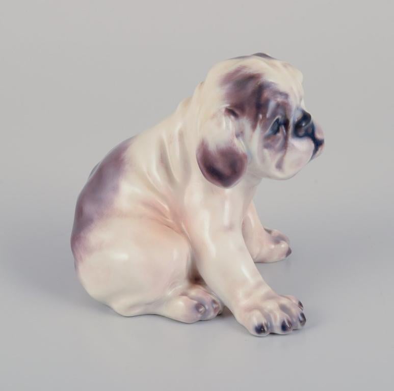 Porzellanfigur eines englischen Bulldogges von Dahl Jensen.
Modell: 1139.
Aus den 1930er Jahren.
In perfektem Zustand.
Erste Fabrikqualität.
Abmessungen: B 6,0 cm x H 6,0 cm.