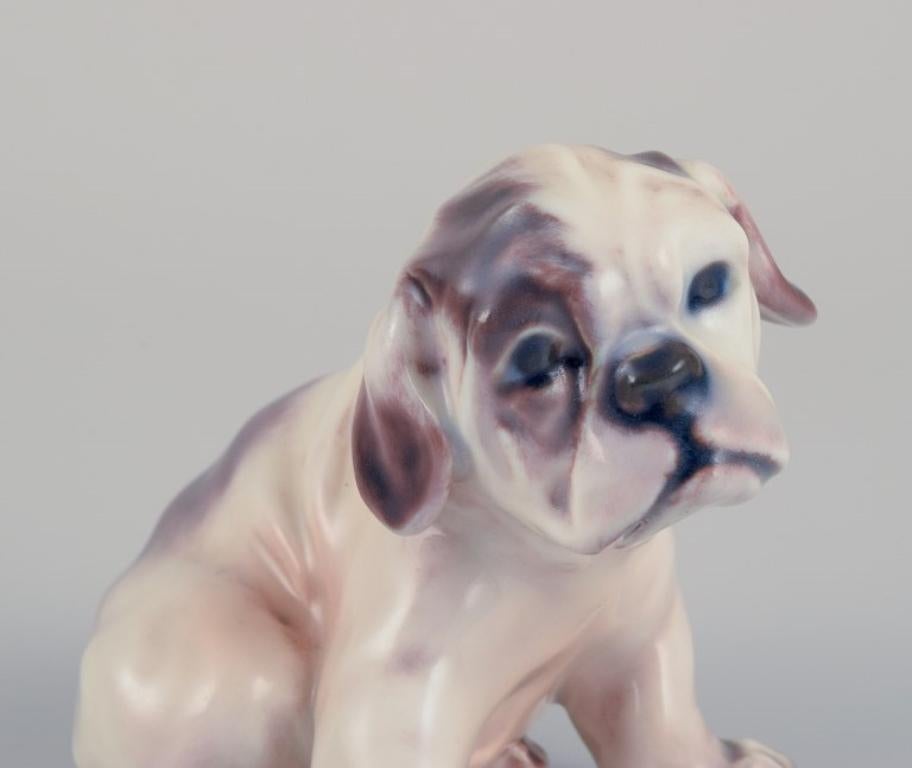 Mid-20th Century Dahl Jensen porcelain figurine of an English Bulldog puppy. For Sale