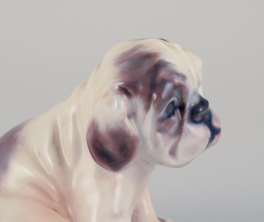 Porcelain Dahl Jensen porcelain figurine of an English Bulldog puppy. For Sale