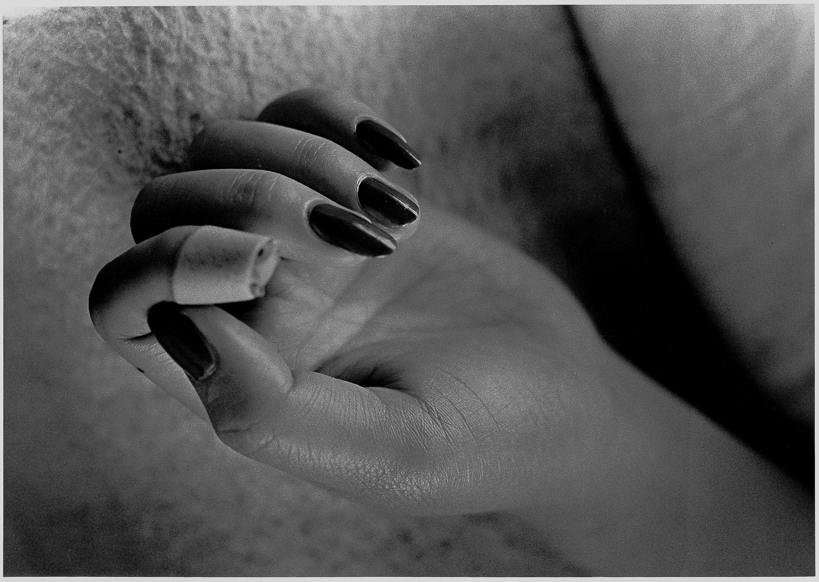 untitled , 1986