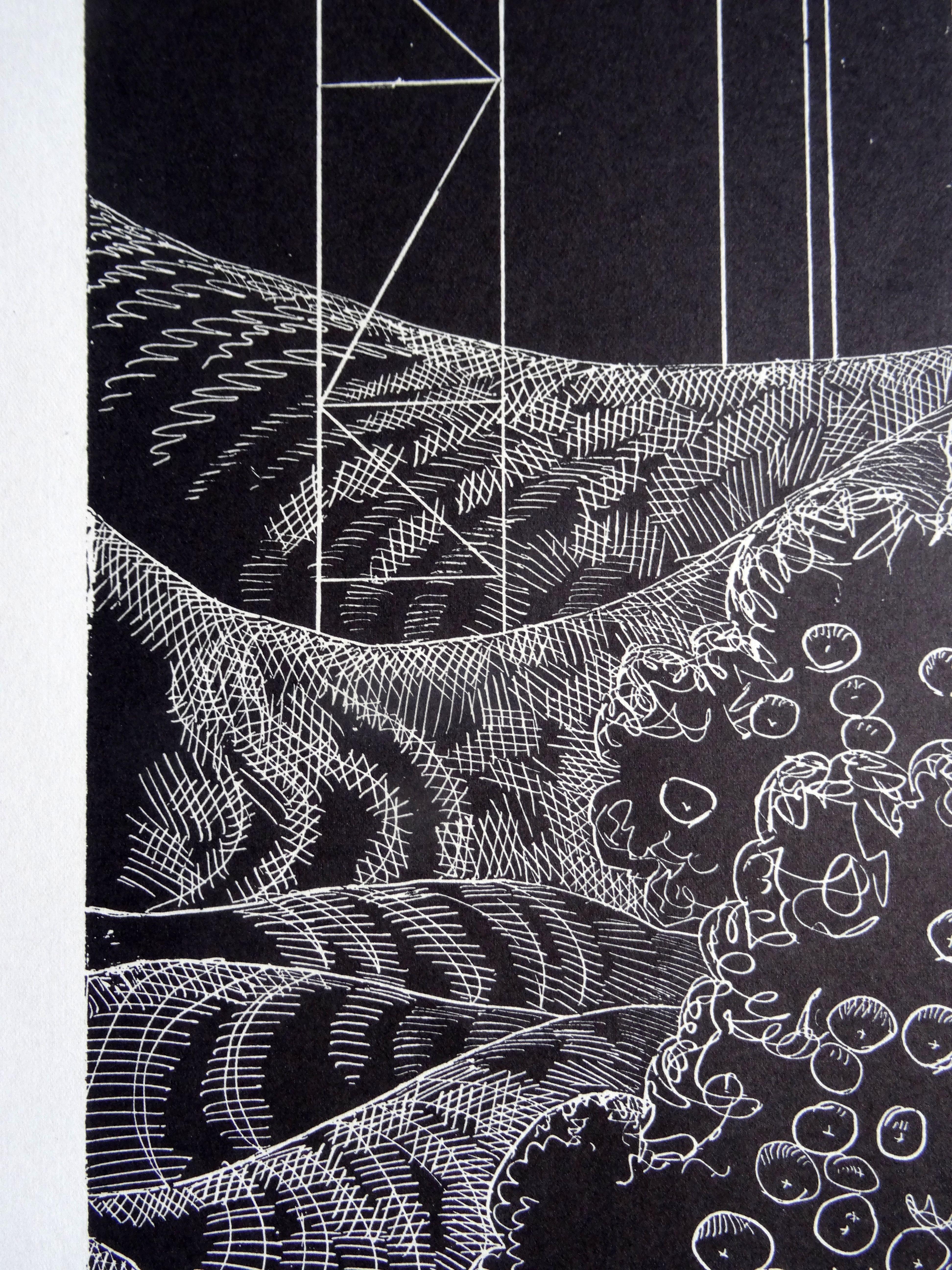 Apple tree. 1976, linocut, print size 65x50 cm; total 75x60 cm - Abstract Geometric Print by Dainis Rozkalns