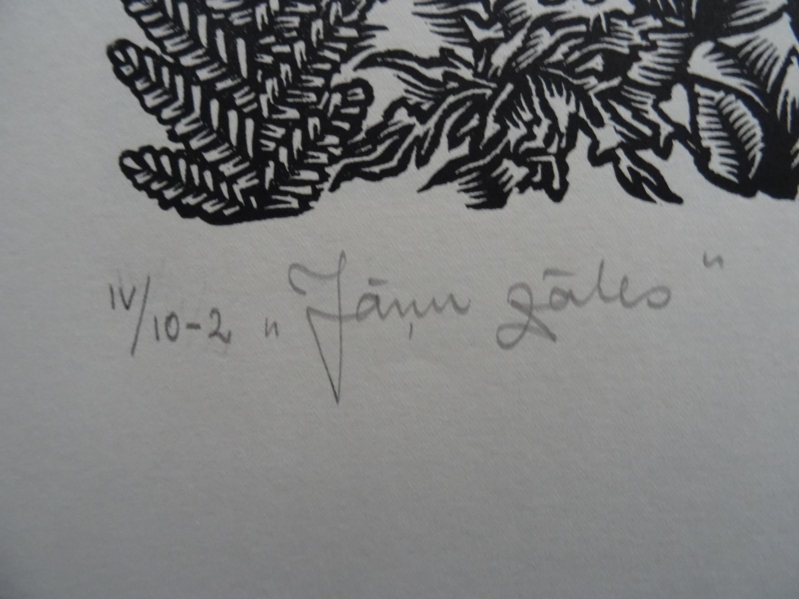 Solstice flowers. 1984. Paper, linocut, 20x34 cm - Print by Dainis Rozkalns
