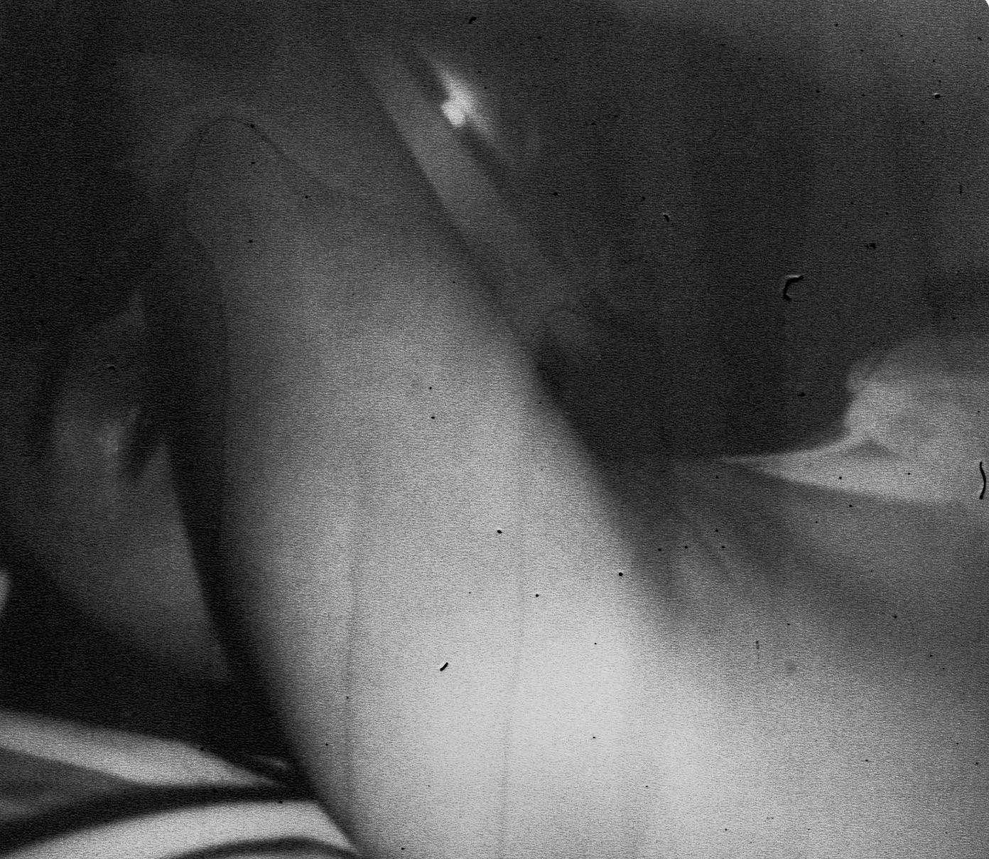 Not titled yet - Photograph by Daisuke Yokota