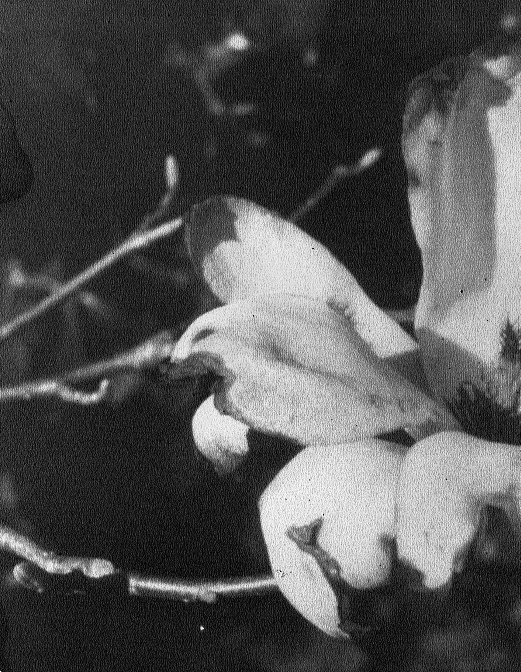 Not titled yet - Photograph by Daisuke Yokota