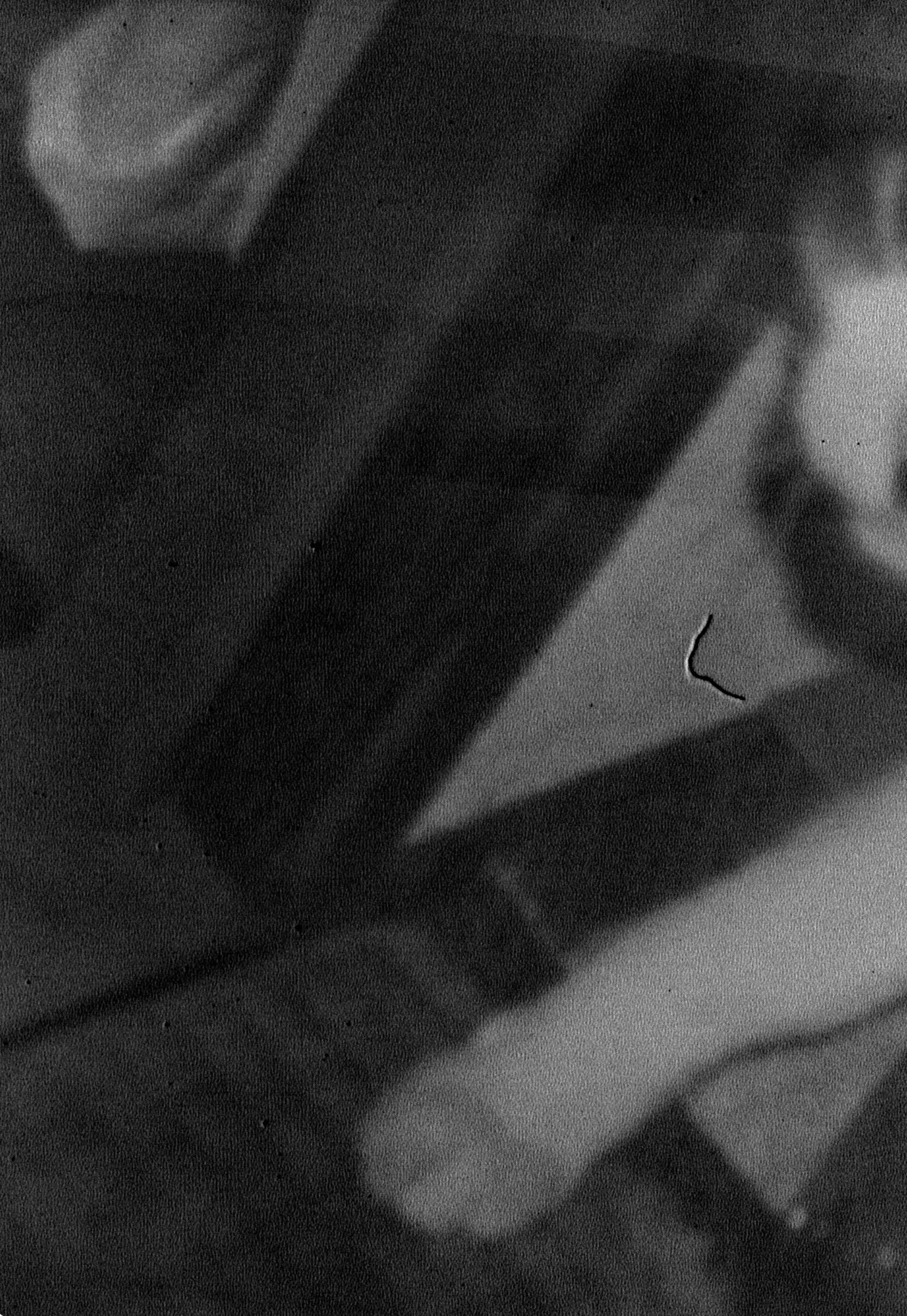 Not titled yet - Photograph by Daisuke Yokota